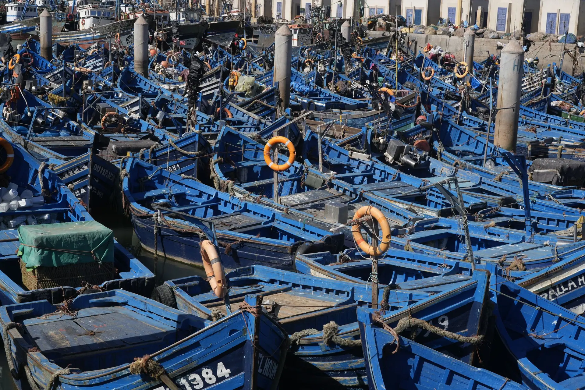 A vibrant scene of blue fishing boats docked at Essaouira harbor, Morocco.