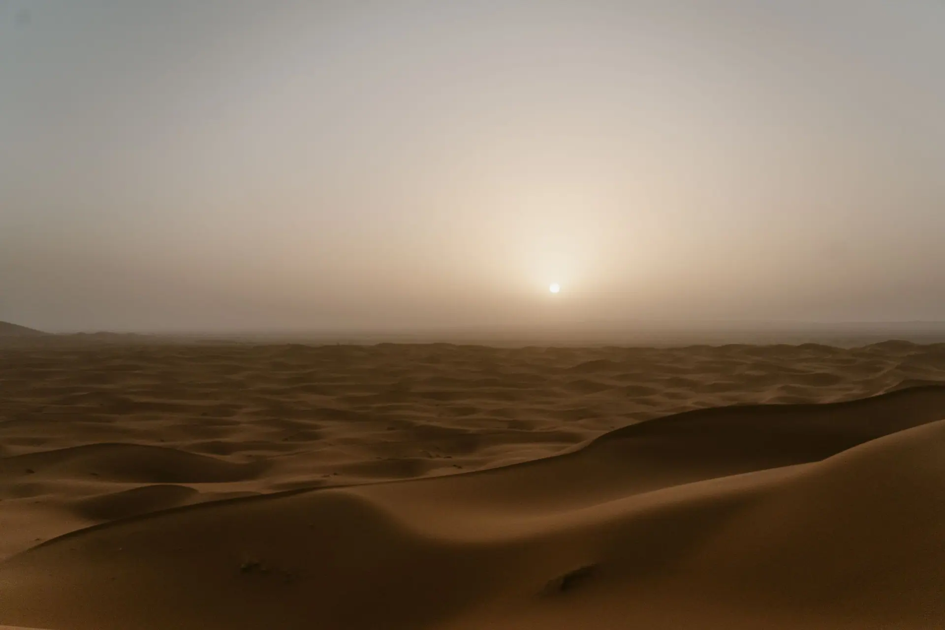 A serene view of the Sahara Desert dunes at sunset in Merzouga, Morocco.