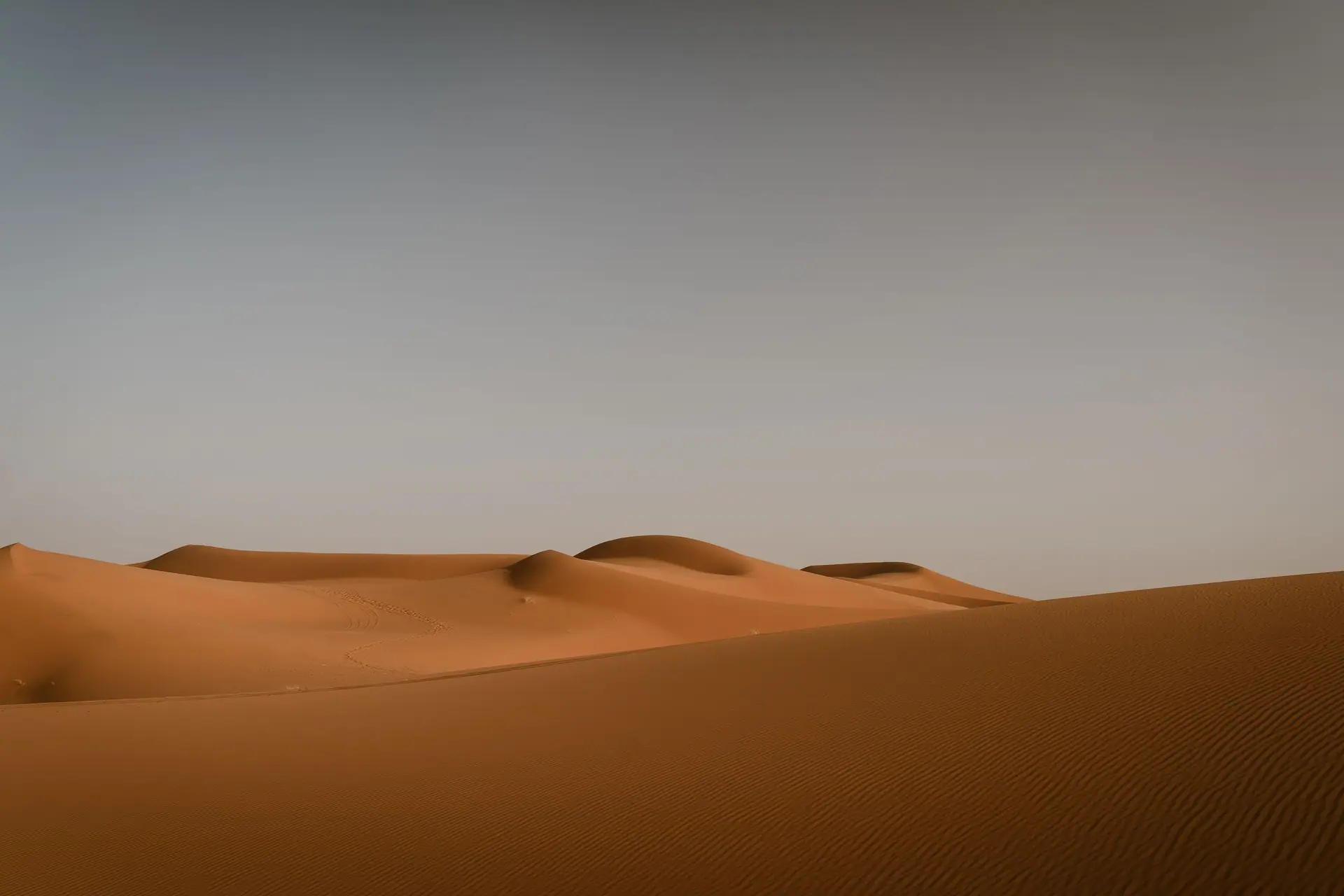 Serene view of the golden sand dunes under a clear sky in the Sahara Desert, Merzouga.